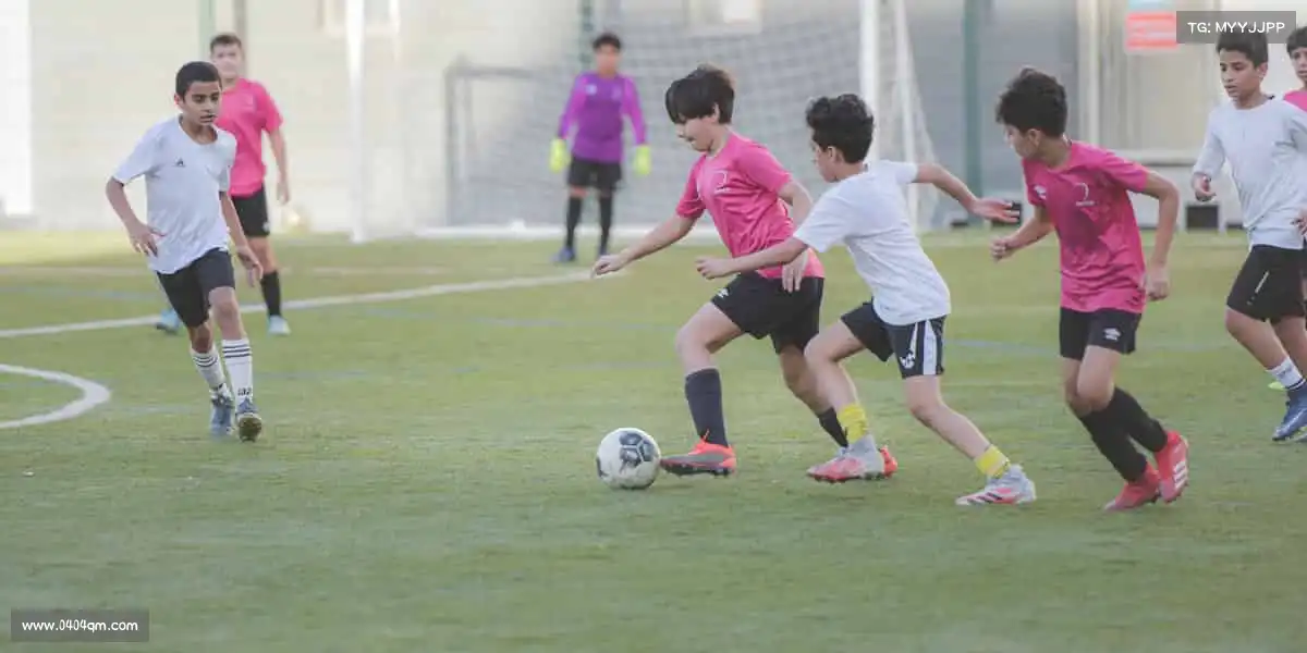 为什么选择我们